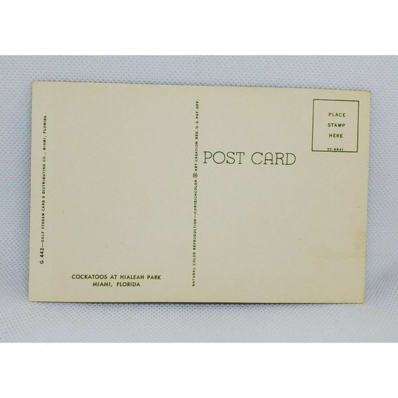 Gulf Stream Card Cockatoos At Hialeah Park Florida Miami Bird Postcard Animal - Picture 5 of 12